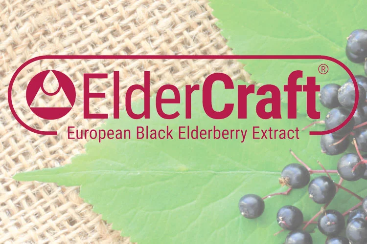 eldercraft logo