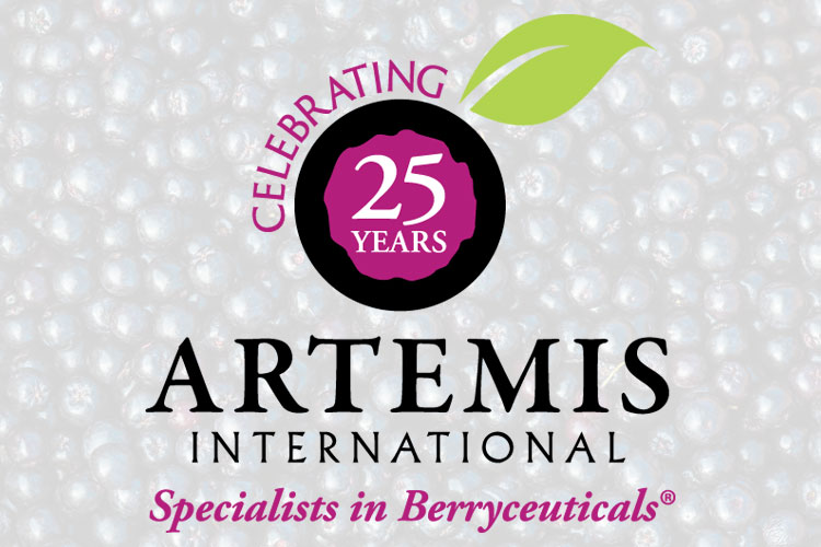 artemis 25 year anniversary logo