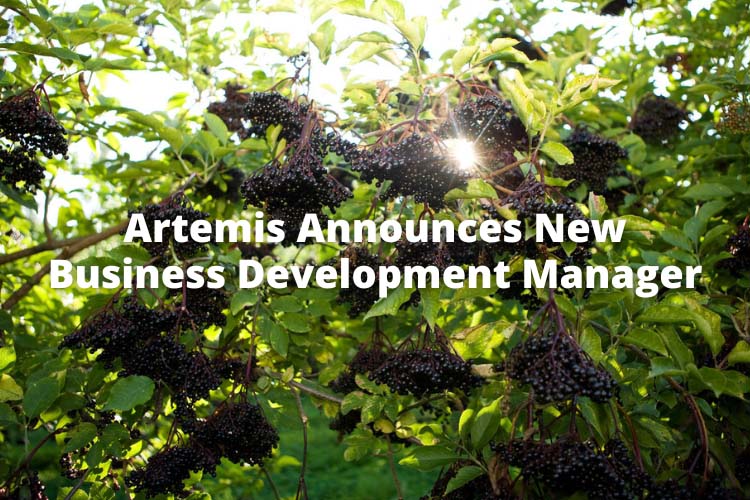 artemis announces new business development manager