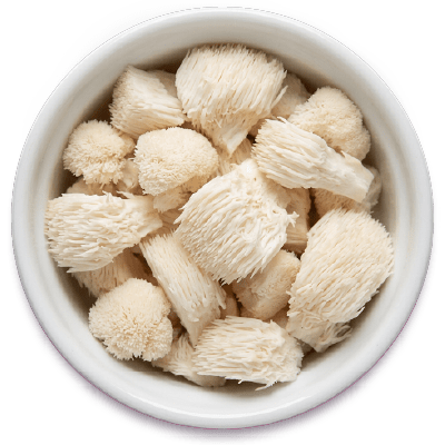 Spotlight_BrainHealth-06